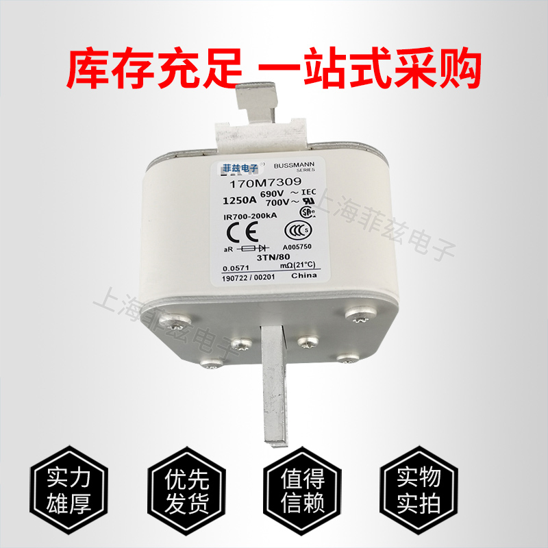 巴斯曼熔斷器 170M7309